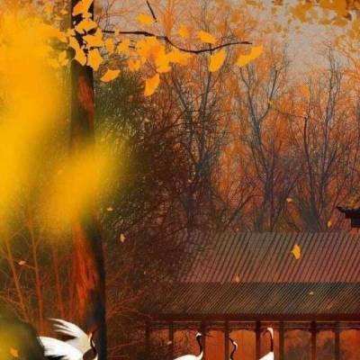 不思议洞窟官方下载
